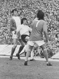 Peter Anderson is outnumbered