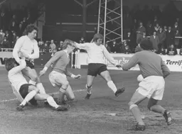 Everyone seems to have missed the ball