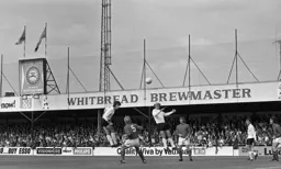 Alan Garner joins in the attack