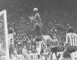 Viv Busby watches as the ball is tipped over the bar