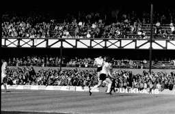 Vic Halom powers in a header