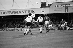 Vic Halom rises high