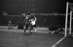 Jim Ryan celebrates his goal