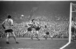 Barry Butlin makes his presence felt