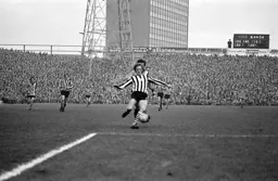 A packed St James' Park