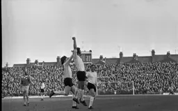 The celebrations continue