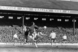 Luton players pile in