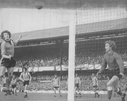 Peter Anderson heads wide