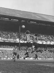Don Shanks in an aerial challenge