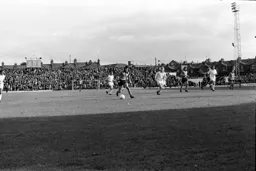 Peter Anderson in the clear