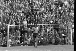 Graham Horn safe hands