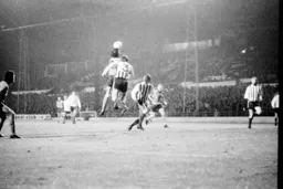 Barry Butlin heads on