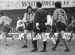 Peter Anderson complains to the referee