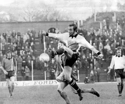 Future Hatter Brain Horton