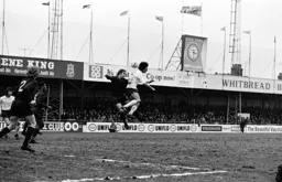 Jimmy Ryan rises highest