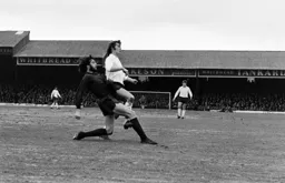 Don Shanks challenged