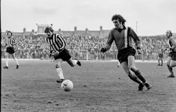 Peter Anderson about to shoot