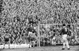 John Ryan watches on