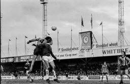 Peter Anderson rises