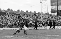 Barry Butlin fights his way through