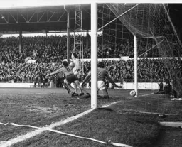 Jimmy Husband wheels away in delight