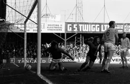 Jimmy Husband wheels away to celebrate