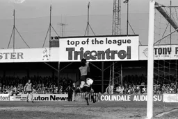 Jimmy Ryan watches on hopefully