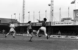 Peter Anderson lobs Bryan King