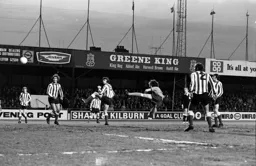 A spectacular header from Peter Anderson