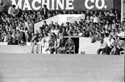 The bench looks worried