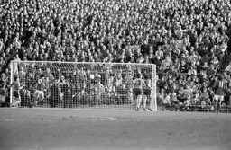 Birmingham cannot miss