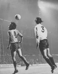 Peter Anderson rises for the ball