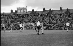 Peter Spiring looks for the cross