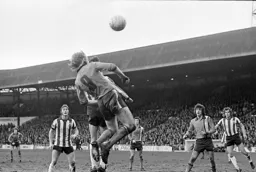 Ron Futcher above the rest