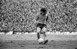 Peter Anderson concentrates