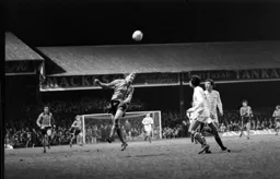 Ron Futcher rises high
