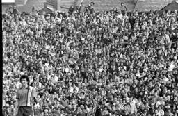 All eyes on Peter Anderson