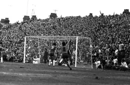 Home support celebrates