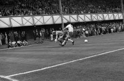 Ron Futcher goes to ground