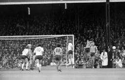 Town under attack from the Wanderers