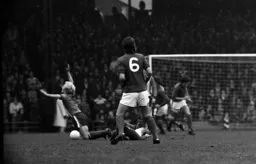 Ron Futcher’s theatrical dive