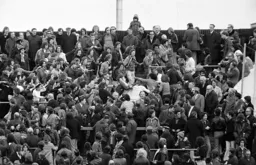 Crowd madness in the 70’s