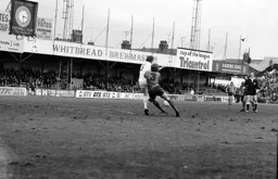 Steve Buckley makes his presence felt