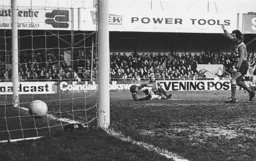 The ball is in the net but the goal is chalked off for offside