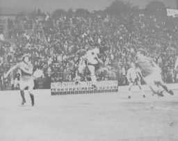 Dixie Deans guides a header wide