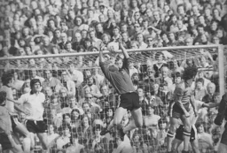 Another cross goes to waste