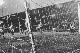 Tony Knight brings off a full length save