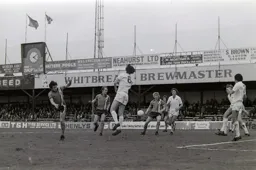 Everyone missed the ball