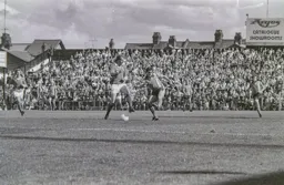 Lil Fuccillo thinks it’s his turn for a shot