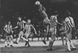 Milija Aleksic gathers safely